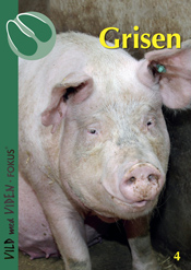 Grisen