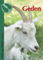 Geden