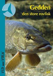 Gedden den store rovfisk