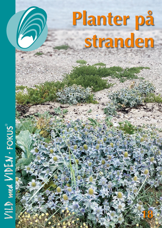 Planter p stranden