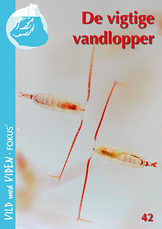 De livsvigtige vandlopper