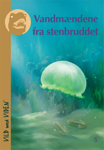 Vandmændene i stenbruddet
