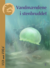 Vandmændene i stenbruddet