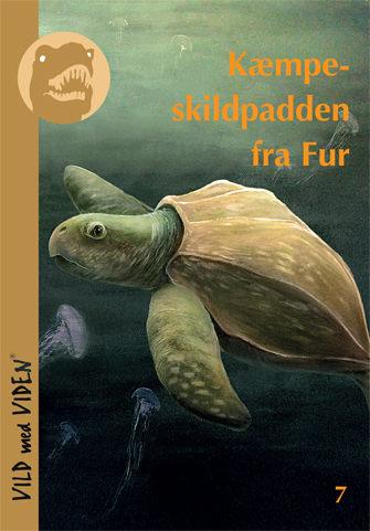  Kmpeskildpadden fra Fur