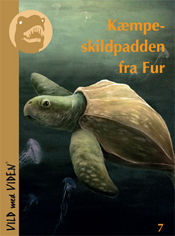 Kæmpeskildpadden fra Fur