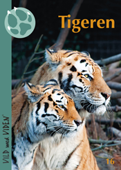  Tigeren